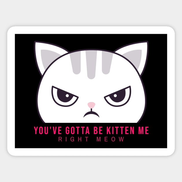 You've Gotta Be Kitten Me Right Meow Cat Pun Sticker by DC Bell Design